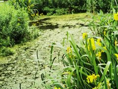 -武汉紫薇都市田园