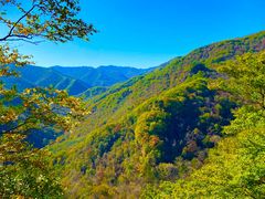 -五女峰国家森林公园