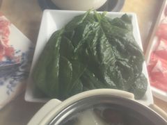 -清真军邺·金富苑肥牛(石坡街旗舰店)