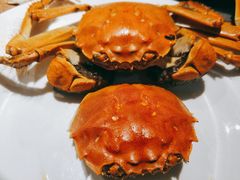 大闸蟹-蒙肥羊·酸汤潮牛·鲜牛肉火锅烤肉自助(岗顶店)