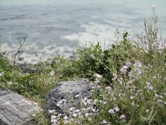 -咸德海水浴场
