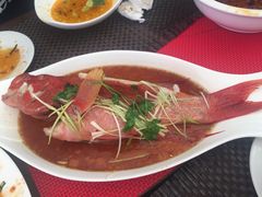 毛里求斯小四川饭店-毛里求斯小四川餐厅总店