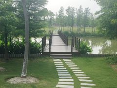 -上海长兴岛郊野公园