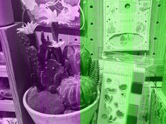 -九木杂物社(凯德大峡谷店)