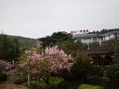 -汤山一号温泉度假区