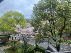 -庐山风景名胜区-东林大佛