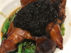 -新兴·金羊座·粤菜点心(乐峰店)