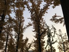 -两江幸福广场