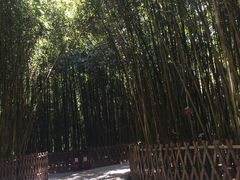 -宝鸡植物园
