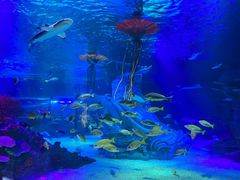 -沈阳海洋探索中心