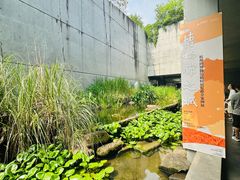 -中国湿地博物馆