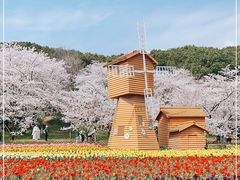 -苏州上方山国家森林公园