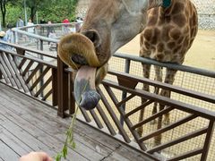 -泉州海丝野生动物世界