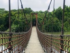 -吴淞炮台湾湿地森林公园烧烤区