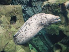 -珠海长隆海洋王国