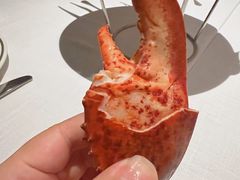 -Wolfgang’s Steakhouse 沃夫冈牛排馆(上海白玉兰广场店)