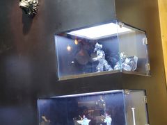 -十八字金·银饰·拼豆·开蚌DIY(魏公芳华里店)