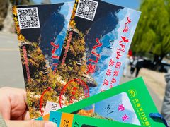 -大连天门山国家森林公园