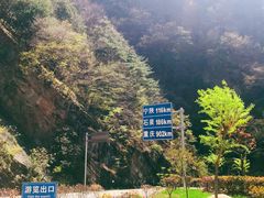 -秦岭风景区