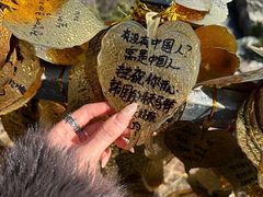 -海东龙宫寺