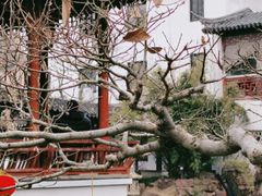 -南园(太仓市)