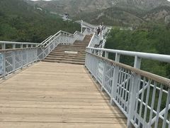 -大青山野生动物园