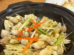 -寻味顺德·南记酒家·传统顺德菜·鱼生(广源路店)