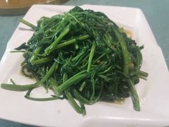 炝炒空心菜-重庆七十二行(康宁街店)