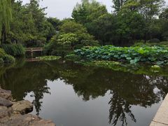 -秋霞圃