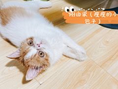 -谐和益家动物医院·免疫绝育·血液透析·宠保定点医院(高新伊藤分院)