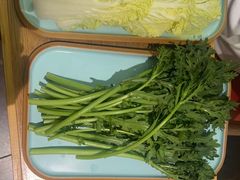 -麻田会 ·鲜活现烹·牛蛙火锅(珠江新城维家思广场店)