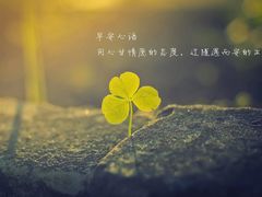 -兰剑驾校(汉阳校区)