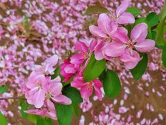 -元大都城垣遗址公园