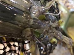 -鲤鱼门海鲜街