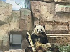 -无锡动物园·太湖欢乐园