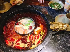 -成渝龙火锅(都江堰店)