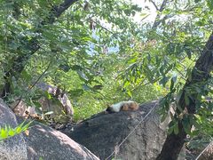 -天津盘山风景名胜区