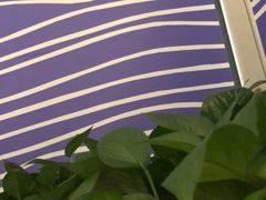 -新辣道鱼火锅(领展购物广场·中关村店)