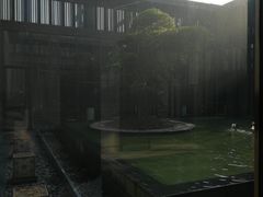 -上海崇明金茂凯悦酒店