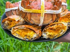 -阳澄湖大闸蟹·琼灵阁牌品牌连锁(吴中总店)