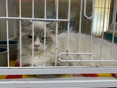 -三旗百汇商品城