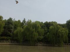 -运河游船(武林门码头)