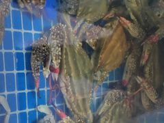 -渔民船说·北塘海鲜·天津菜·海肠捞饭(北塘古镇店)