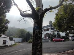 -杭州半山国家森林公园