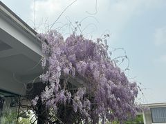 -石家庄市植物园