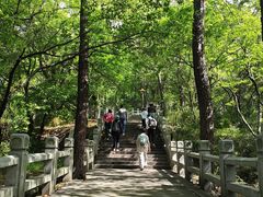 -灵岩山风景区