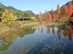 -广州市石门国家森林公园