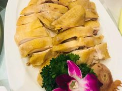 -锦粤宫·精致粤菜(深圳北站店)