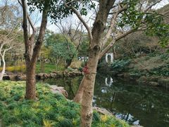 -秋霞圃
