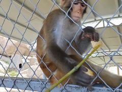 -西霞口神雕山野生动物世界